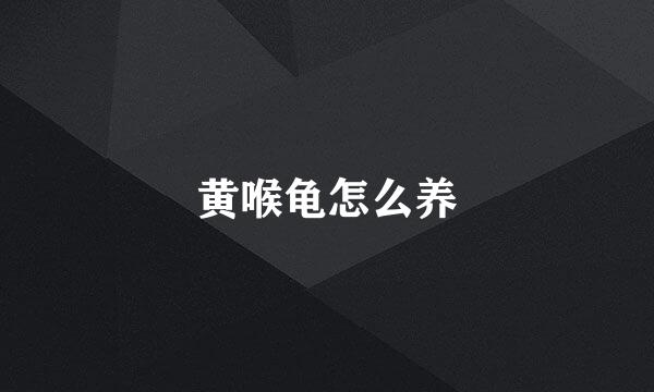 黄喉龟怎么养