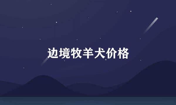 边境牧羊犬价格