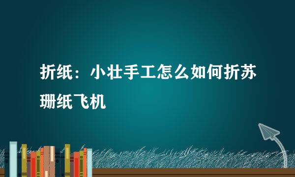 折纸：小壮手工怎么如何折苏珊纸飞机