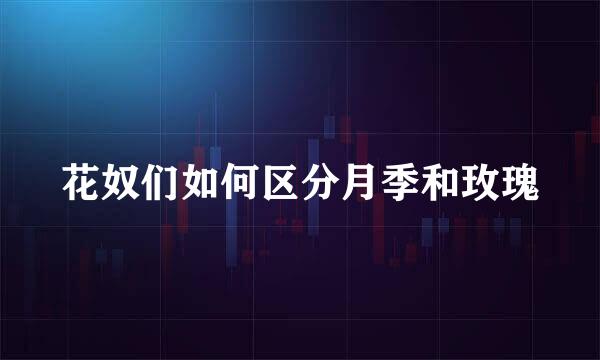 花奴们如何区分月季和玫瑰