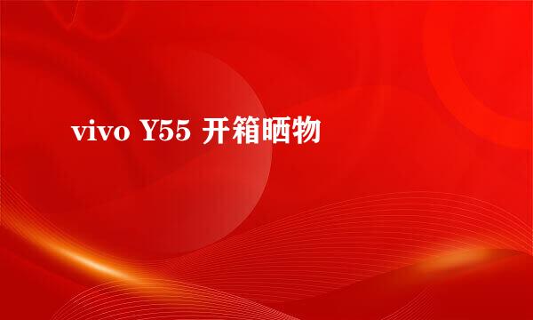 vivo Y55 开箱晒物
