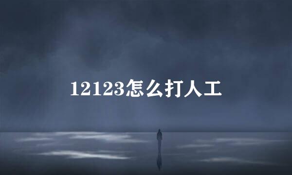 12123怎么打人工