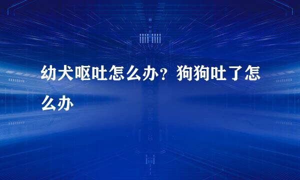 幼犬呕吐怎么办?狗狗吐了怎么办