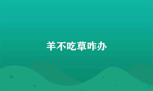 羊不吃草咋办