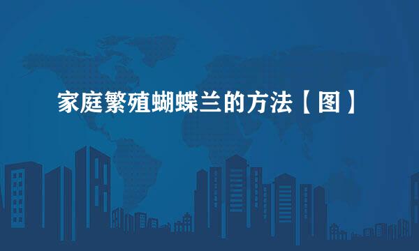家庭繁殖蝴蝶兰的方法【图】