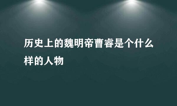 历史上的魏明帝曹睿是个什么样的人物