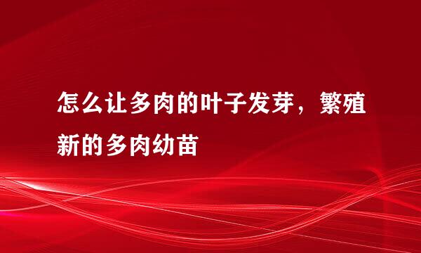 怎么让多肉的叶子发芽,繁殖新的多肉幼苗