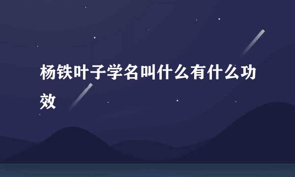 杨铁叶子学名叫什么有什么功效