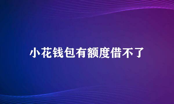 小花钱包有额度借不了