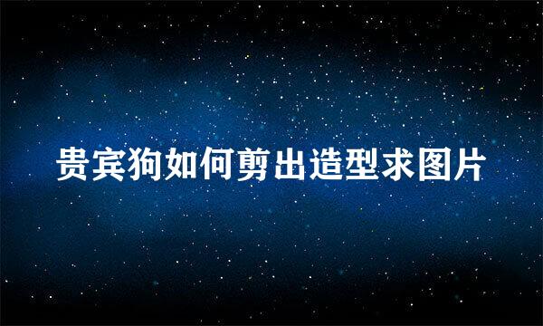 贵宾狗如何剪出造型求图片