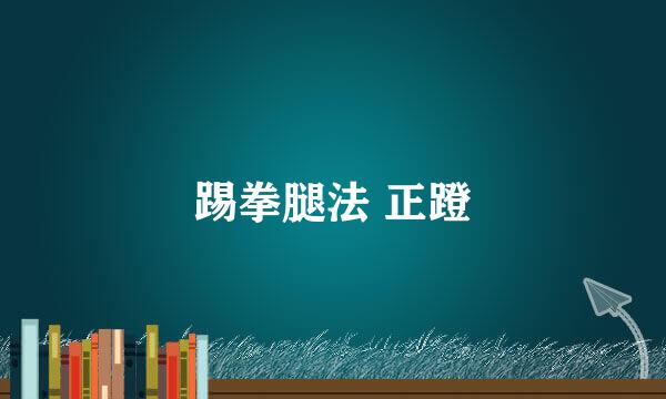 踢拳腿法 正蹬