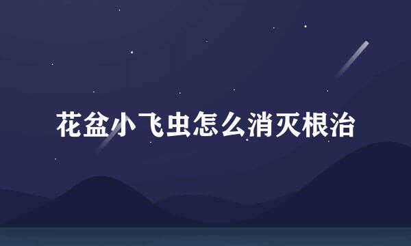 花盆小飞虫怎么消灭根治