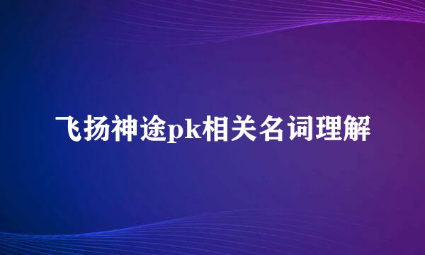 飞扬神途pk相关名词理解
