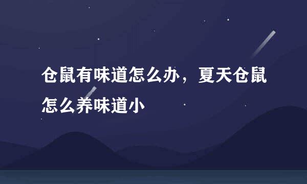 仓鼠有味道怎么办，夏天仓鼠怎么养味道小
