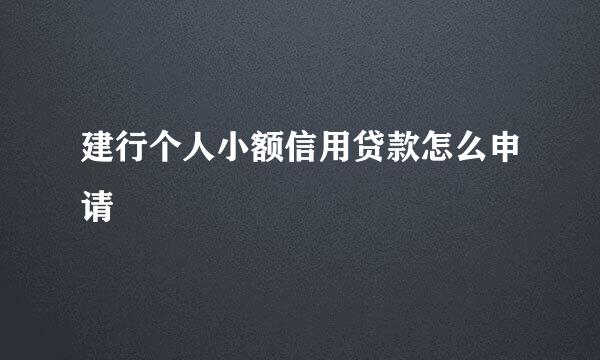 建行个人小额信用贷款怎么申请
