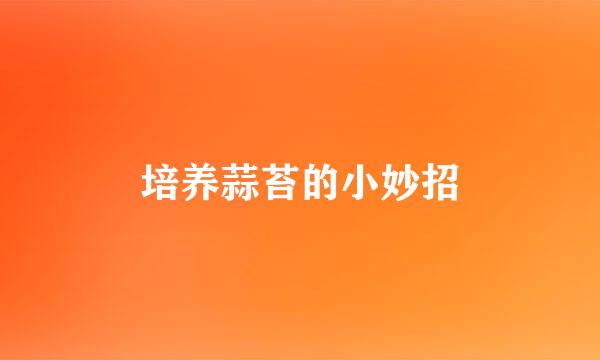 培养蒜苔的小妙招