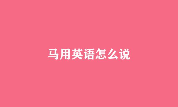 马用英语怎么说