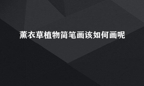 薰衣草植物简笔画该如何画呢