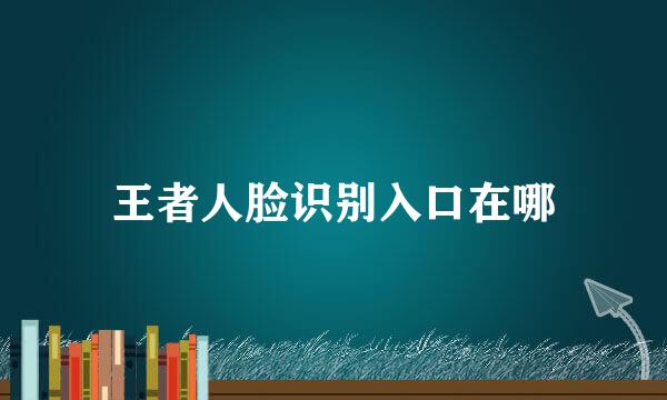 王者人脸识别入口在哪