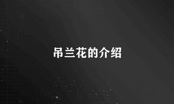 吊兰花的介绍