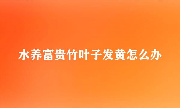 水养富贵竹叶子发黄怎么办