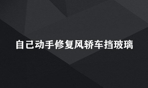 自己动手修复风轿车挡玻璃