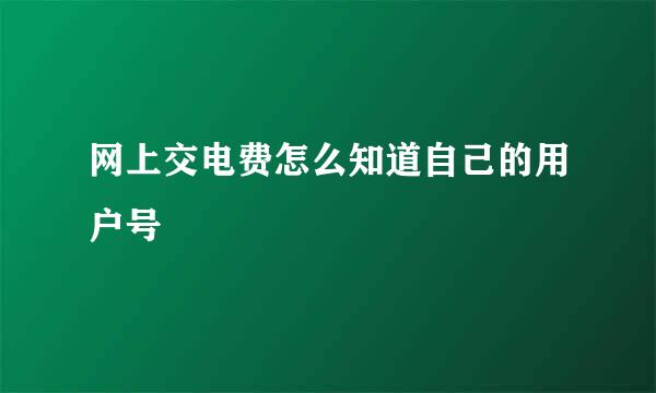 网上交电费怎么知道自己的用户号