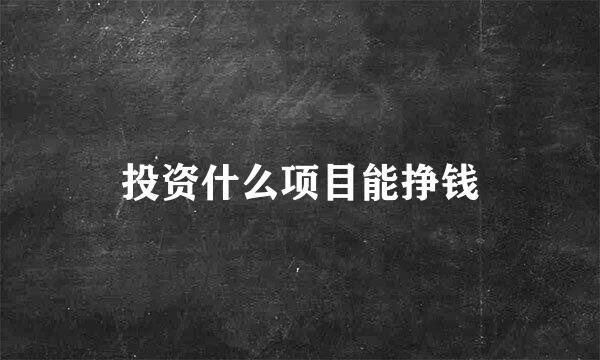 投资什么项目能挣钱