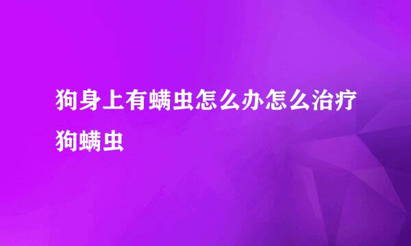 狗身上有螨虫怎么办怎么治疗狗螨虫