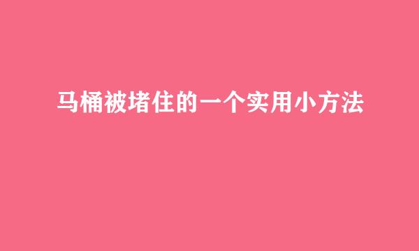 马桶被堵住的一个实用小方法