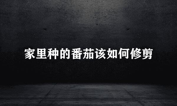 家里种的番茄该如何修剪