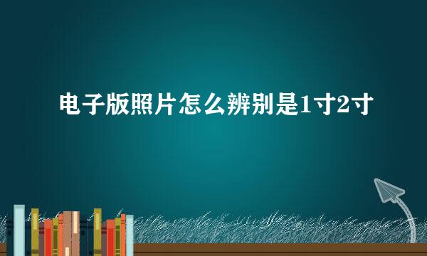电子版照片怎么辨别是1寸2寸