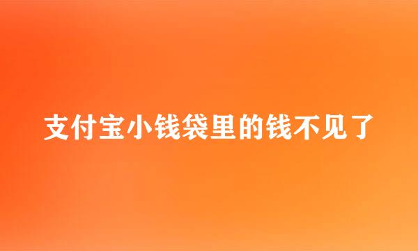 支付宝小钱袋里的钱不见了