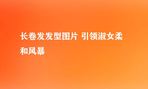 长卷发发型图片 引领淑女柔和风暴
