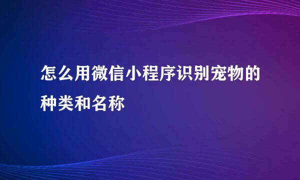 怎么用微信小程序识别宠物的种类和名称