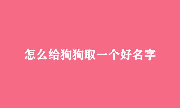 怎么给狗狗取一个好名字