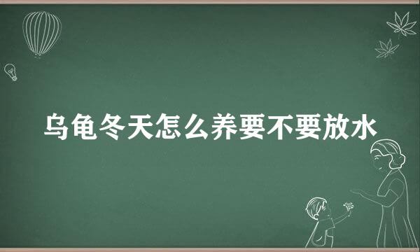 乌龟冬天怎么养要不要放水