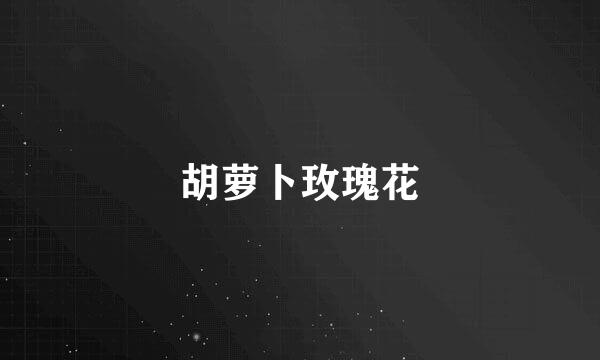 胡萝卜玫瑰花