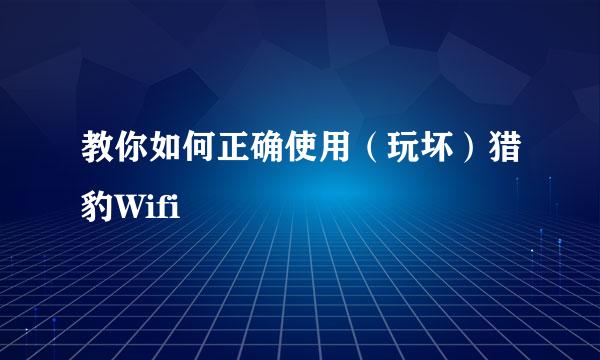 教你如何正确使用（玩坏）猎豹Wifi