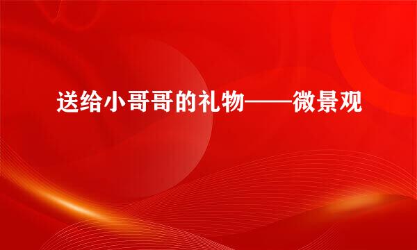送给小哥哥的礼物——微景观
