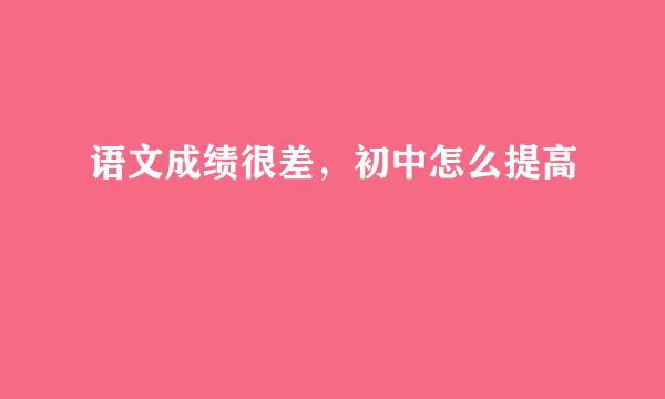 语文成绩很差，初中怎么提高