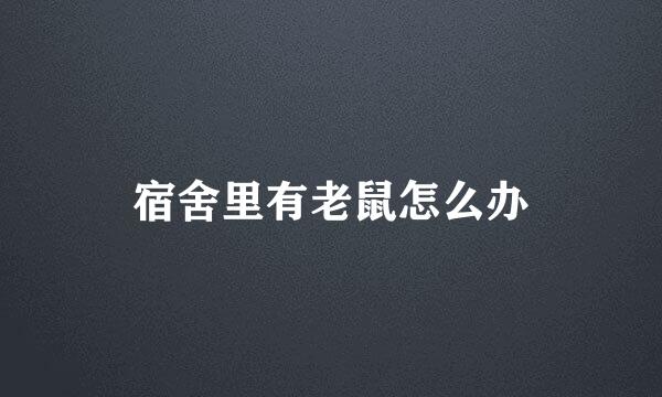 宿舍里有老鼠怎么办