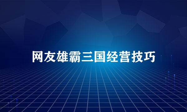 网友雄霸三国经营技巧