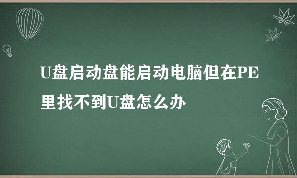 U盘启动盘能启动电脑但在PE里找不到U盘怎么办