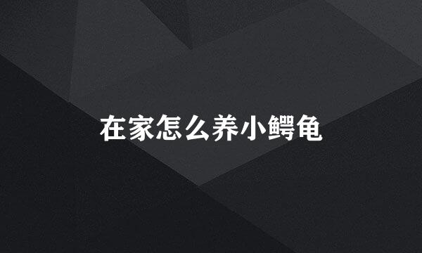 在家怎么养小鳄龟