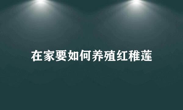 在家要如何养殖红稚莲