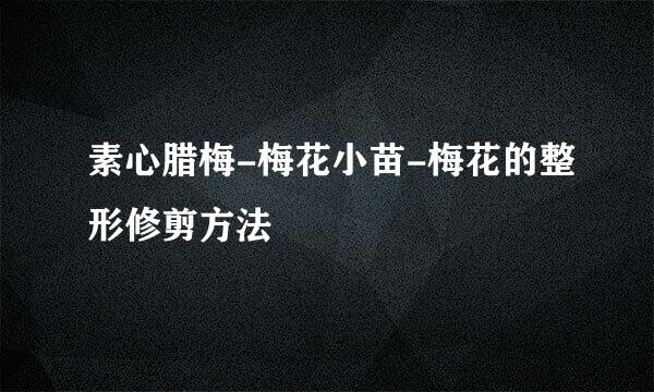 素心腊梅-梅花小苗-梅花的整形修剪方法
