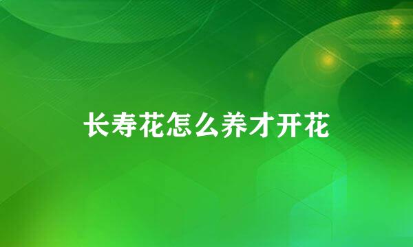 长寿花怎么养才开花
