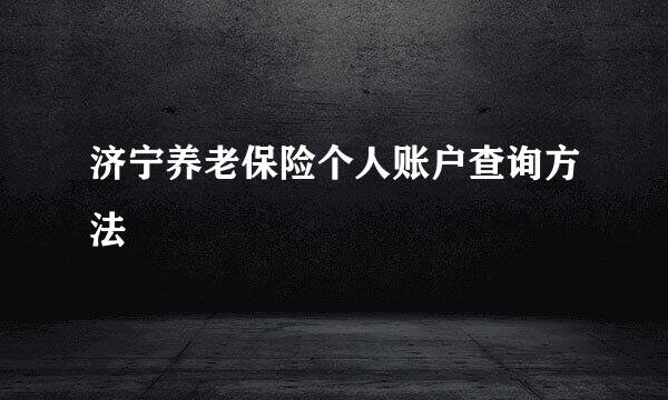 济宁养老保险个人账户查询方法