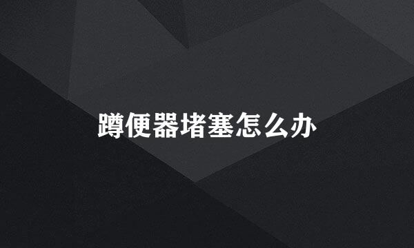 蹲便器堵塞怎么办